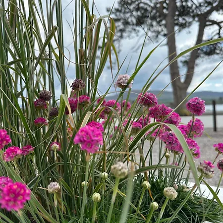 Dromquinna Manor Dunkerron Islands